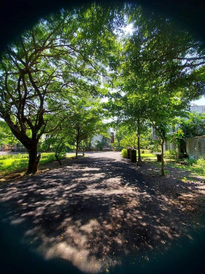 Destination A1 32 Villa Neral Zewnętrze zdjęcie