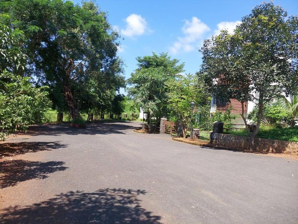 Destination A1 32 Villa Neral Zewnętrze zdjęcie